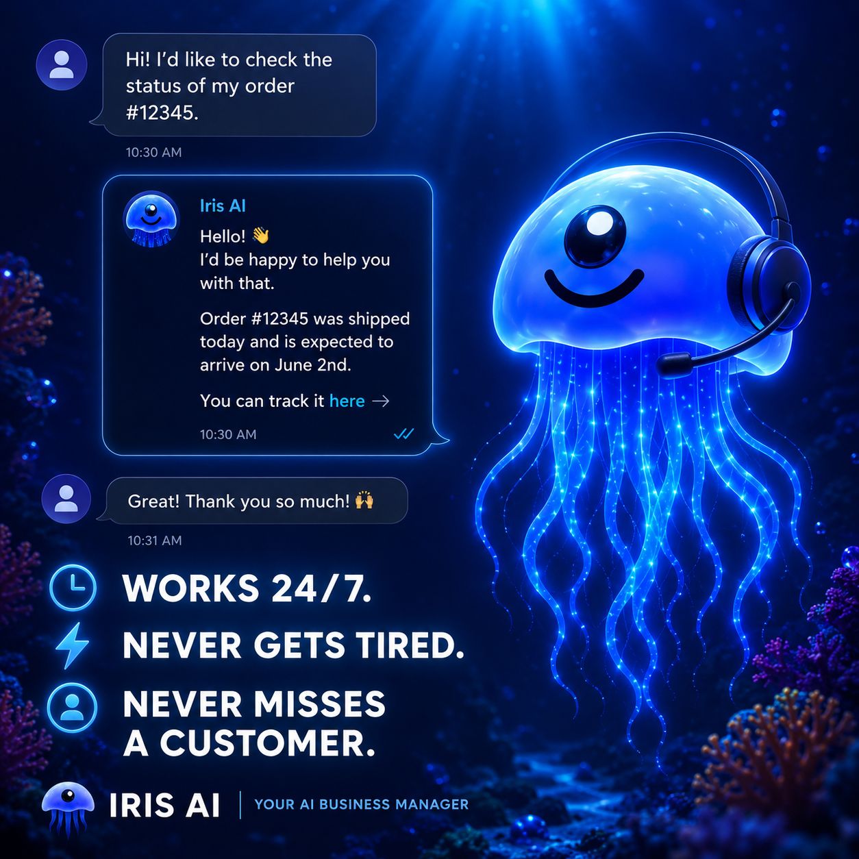 Iris AI answering an order-status question in chat — works 24/7, never gets tired, never misses a customer.